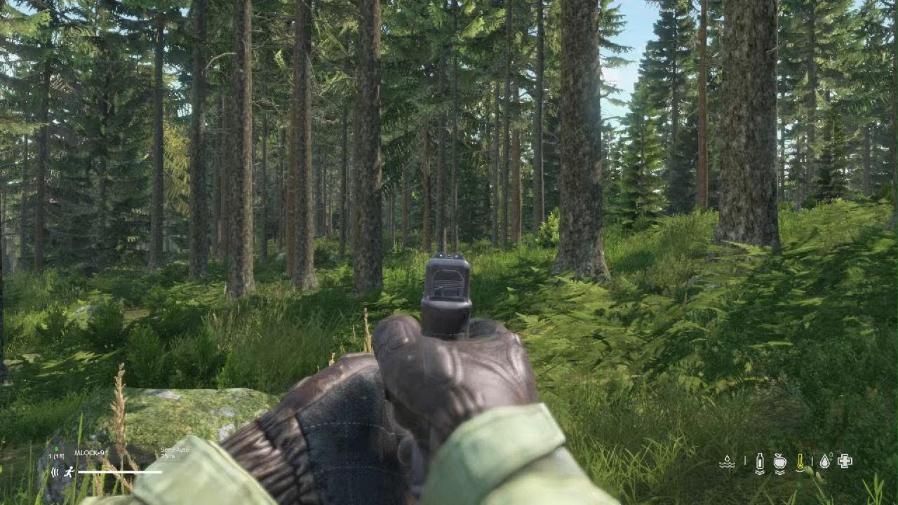 DayZI had to shoot the bear.