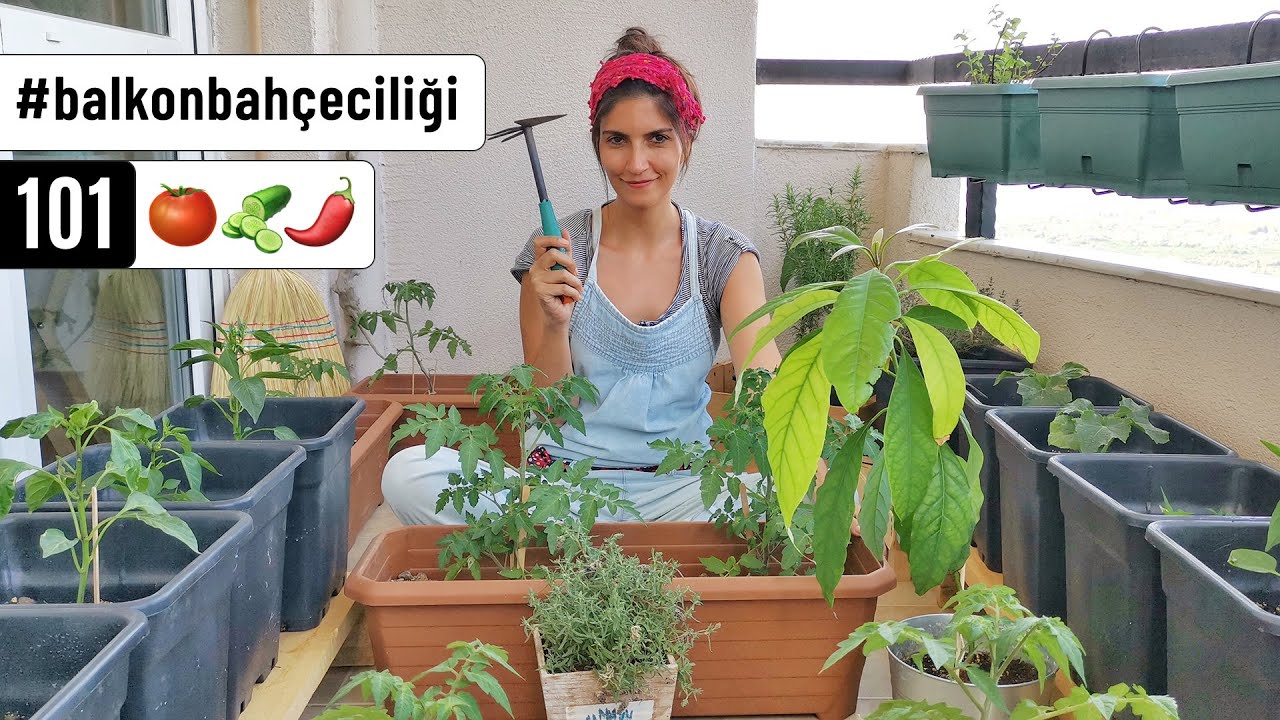 Balkonumda Sebze Bahçesi Kurdum | Tohum Seçimi, Fide Dikimi ile Şehir Bahçeciliğine Giriş