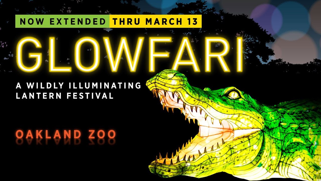 Glowfari - A Wildly Illuminating Lantern Festival