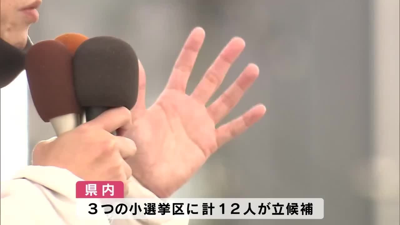 【衆院選公示】大分県では3つの選挙区にあわせて12人が立候補　12日間の選挙戦スタート