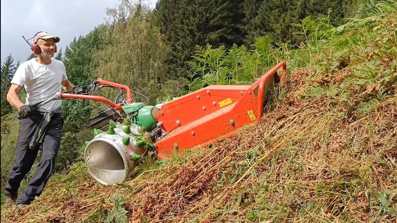 Rapid Rex - Bioklipper beitepusser i bratta på Heggland, 19. august - 2. september 2024, Voss, Norge