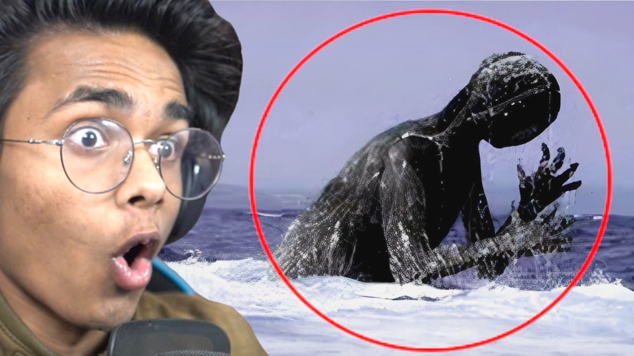 Mysterious Creatures Caught on Camera