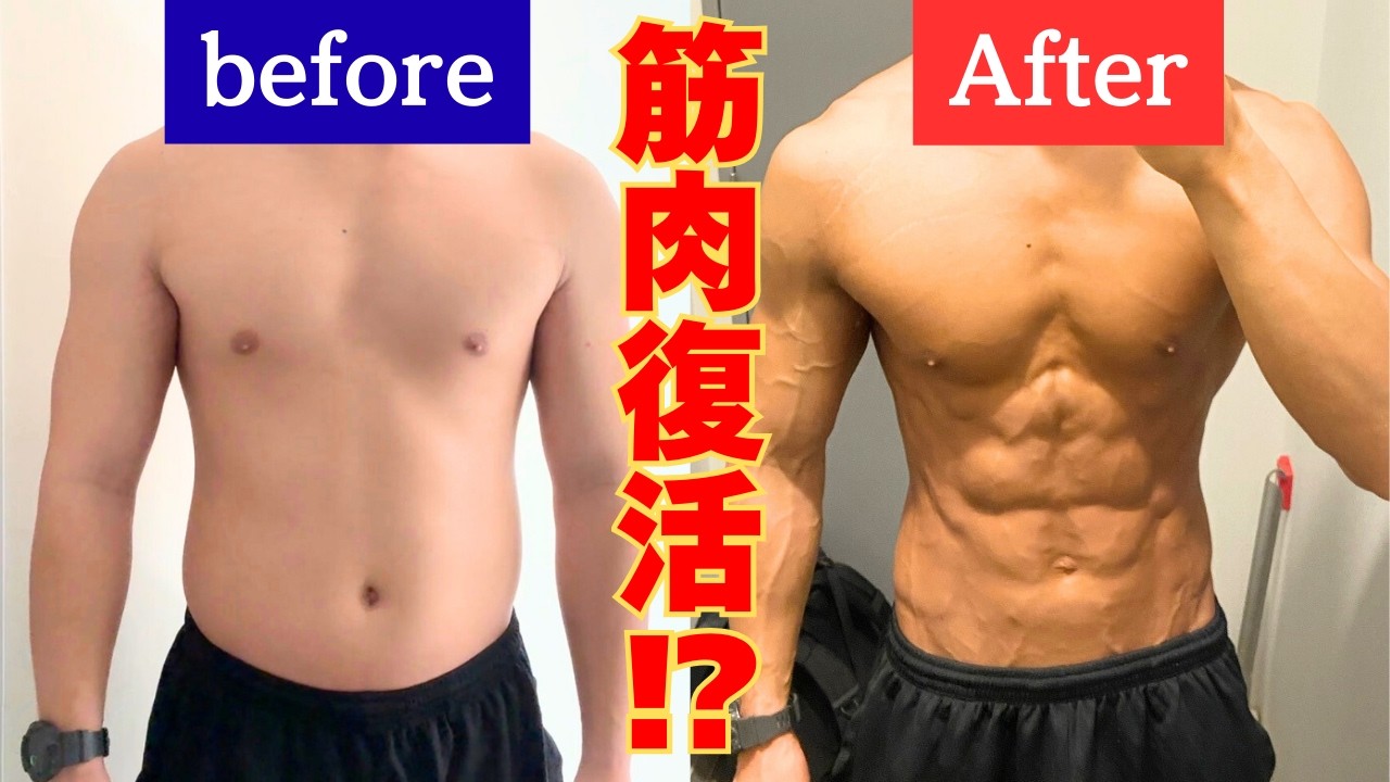 【検証】失われた1年分の筋肉は1ヶ月のガチ筋トレでどこまで戻る？【回復シリーズ＃2】