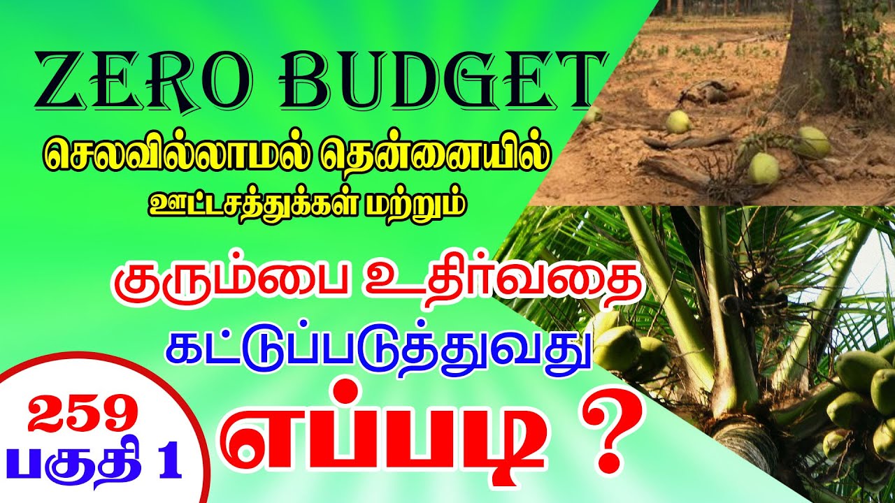 Zero Budget செலவில்லமால் தென்னையில் ஊட்டசத்துக்கள் மற்றும் குரும்பை உதிர்வதை தடுப்பது எப்படி ?