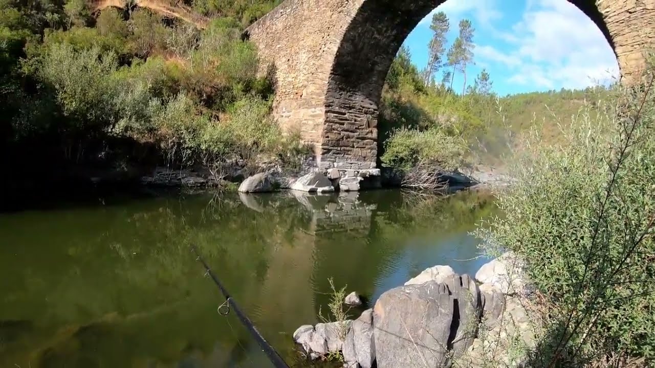 Peixinhos para o jantar(férias 2025)