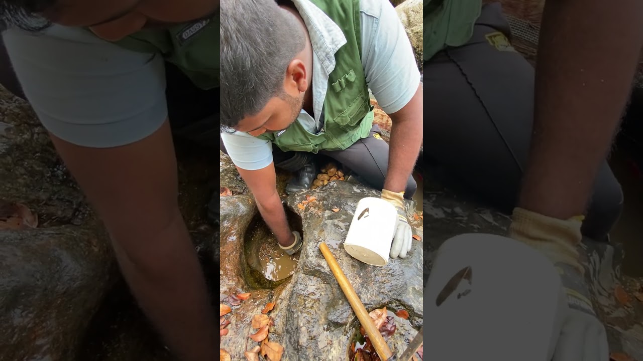 River Gem Mining &ndash; Rock Hole Treasure | Gemstone Digging | Natural Gem Hunting