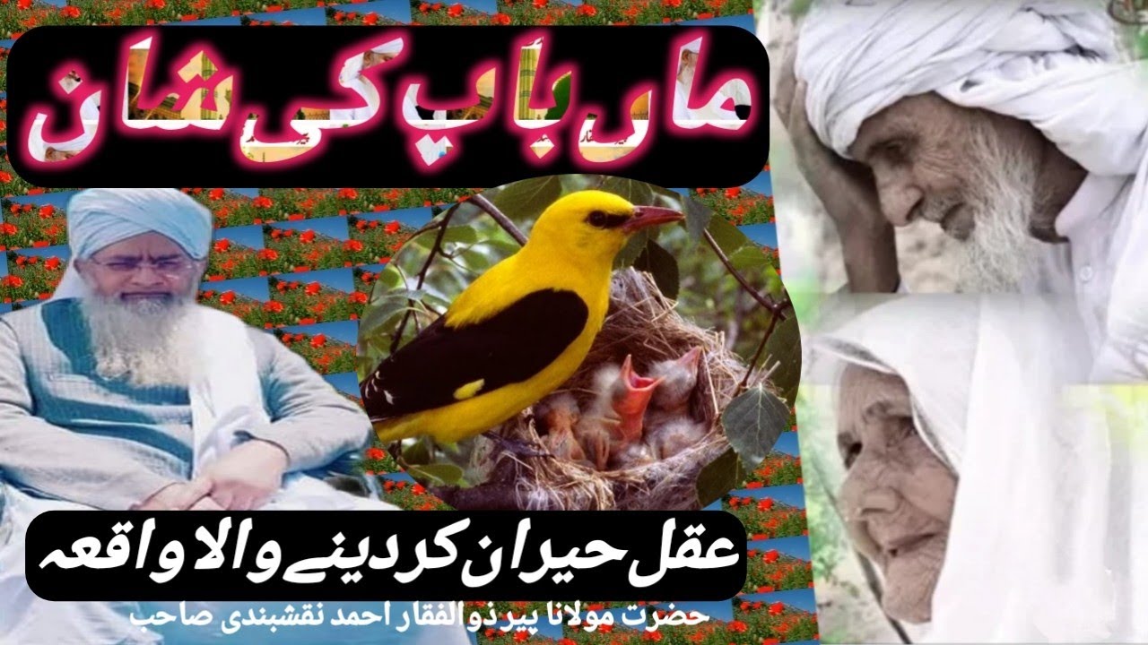 ماں باپ کی شان   حضرت مولانا پیر ذولفقار احمد نقشبندی صاحب