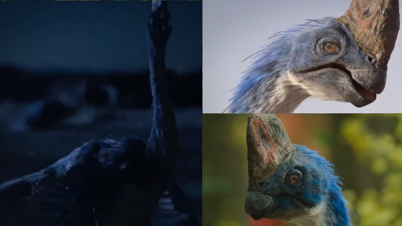 Prehistoric Planet [2022 - 2023] - Corythoraptor Screen Time