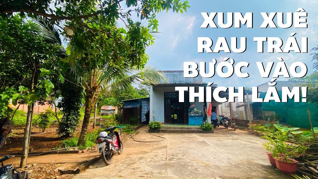 Chị hàng xóm gần nhà Dư tiếc nuối bán nhà vườn khó chê chỗ nào để trả nợ (ĐÃ BÁN)