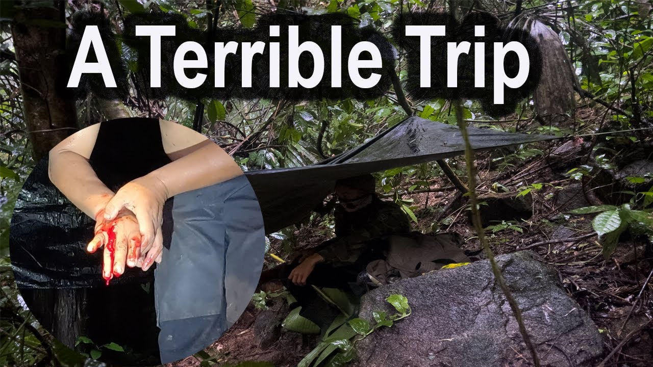 Deep into the Jungle on Terrible Days