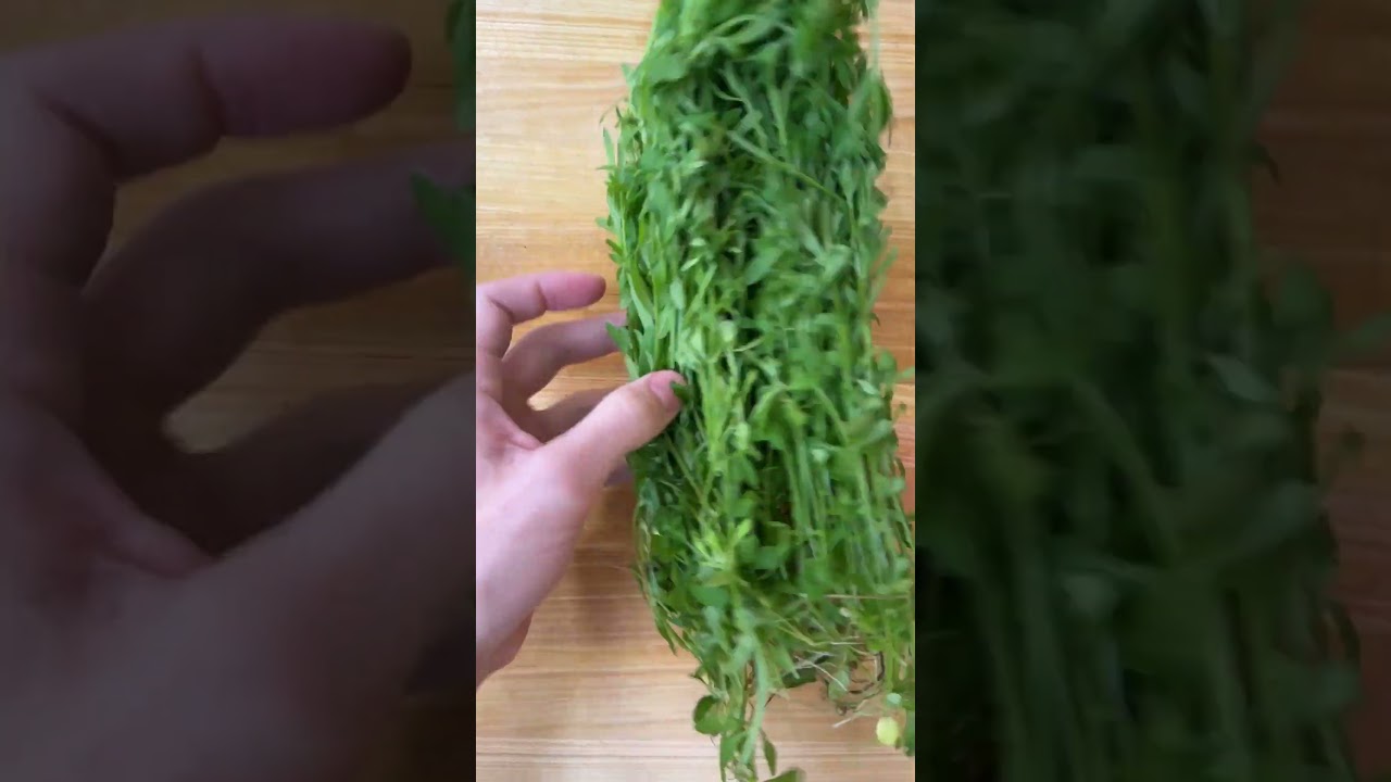 I made soup from weeds