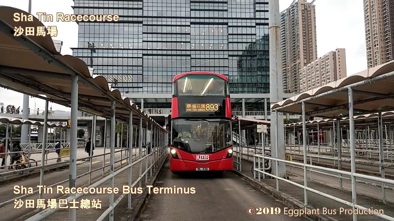 九龍巴士893線 沙田馬場🍆康盛花園 Hong Kong Bus KMB 893 V6B121 @WL436 Shatin Racecourse🍆Hong Sing Garden