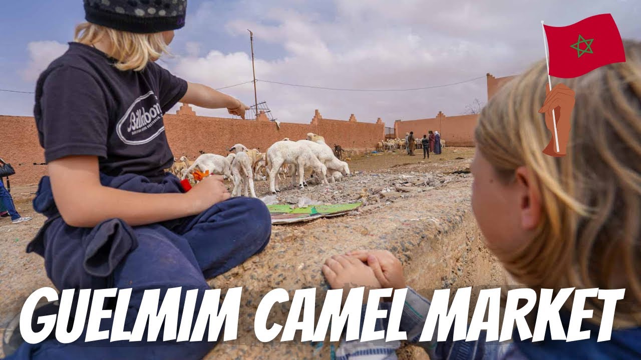 REVISITING THE GUELMIM CAMEL MARKET AND SATURDAY SOUK 🇲🇦