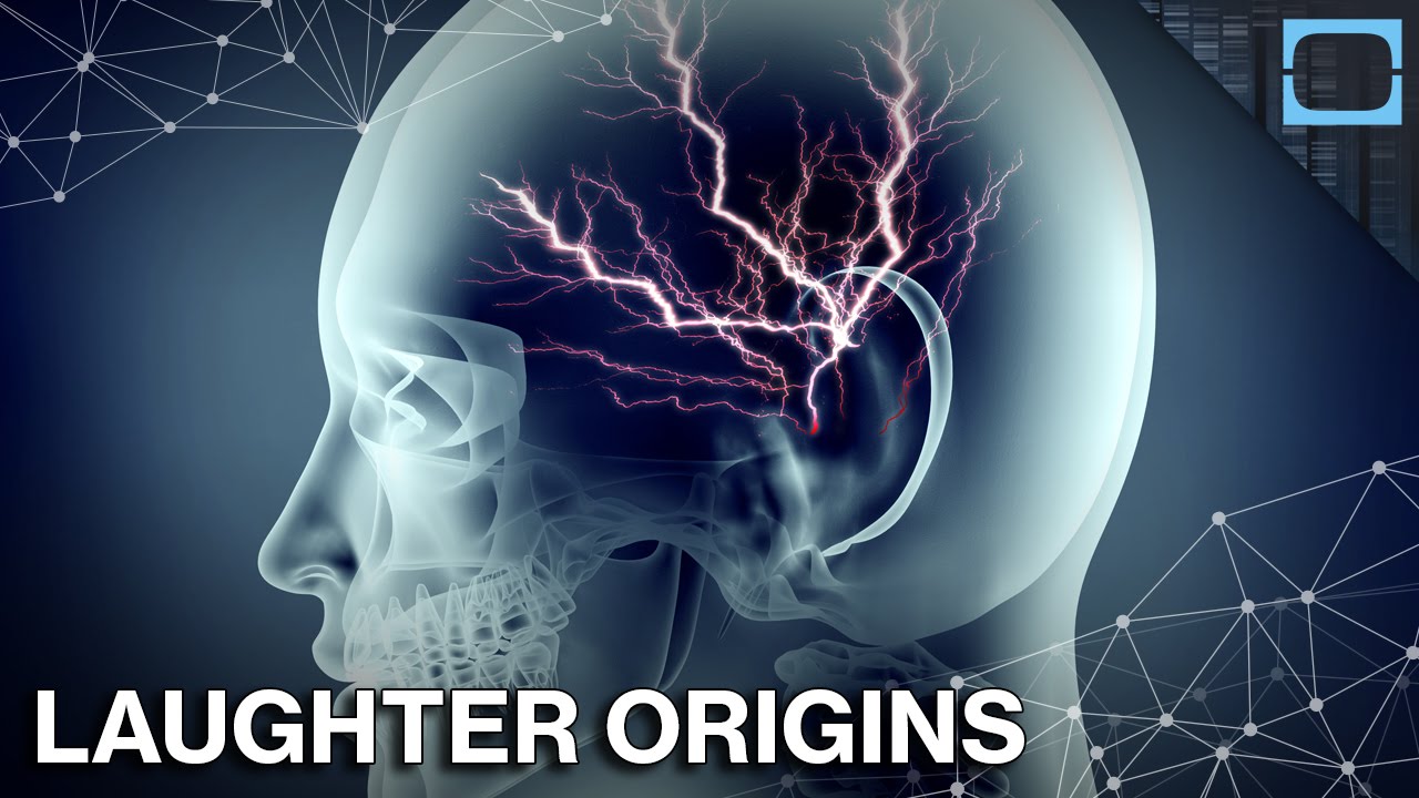 How Our Brains React When We Hear a Joke