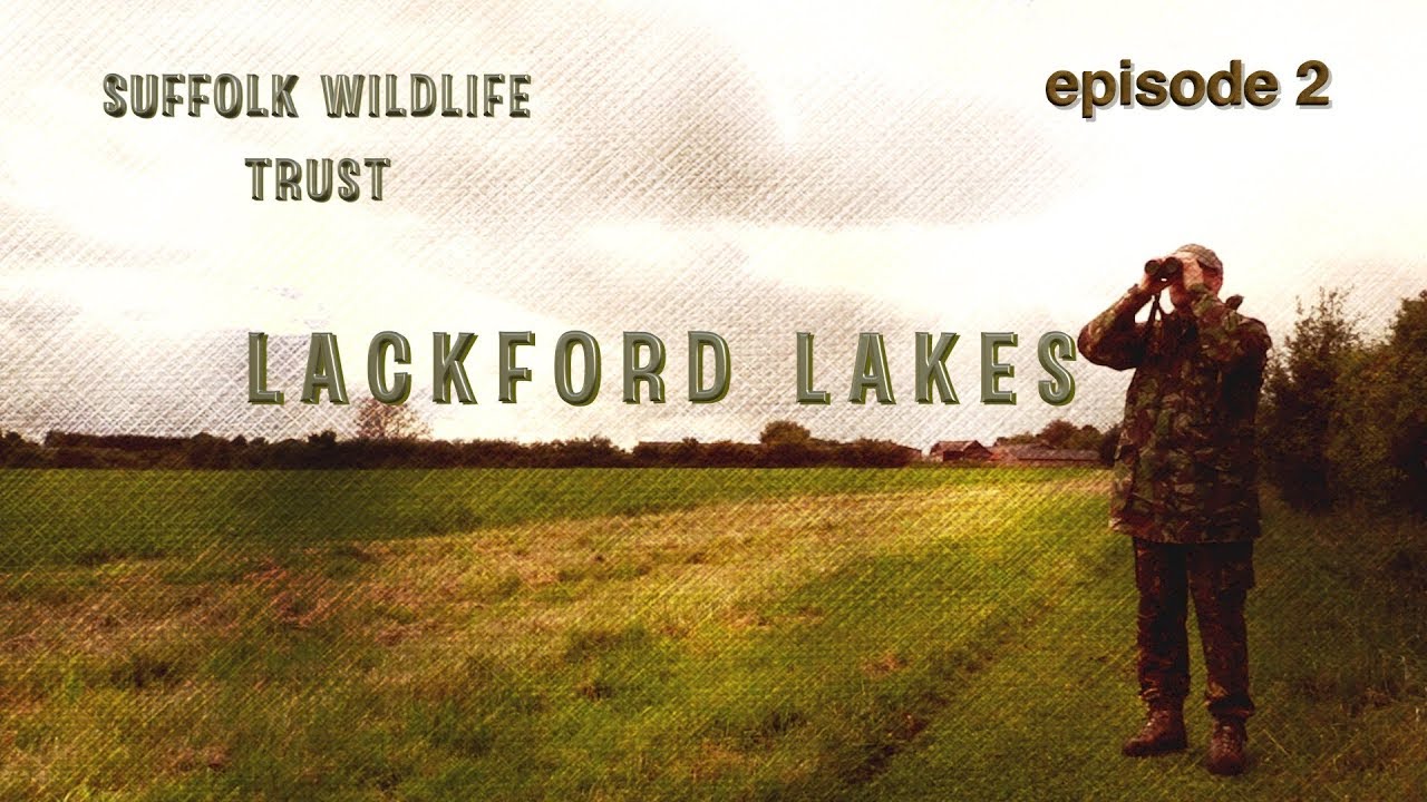 Lackford Lakes (Suffolk Wildlife Trust)