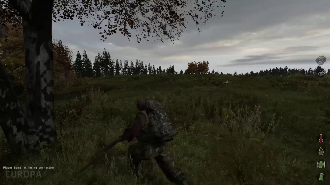 DayZ Vanilla - Killings