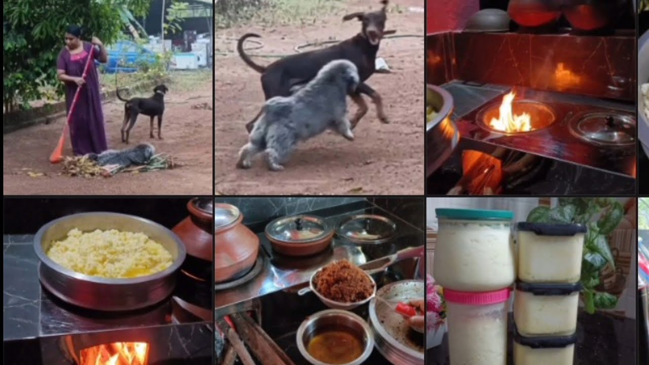 ഒരു കൊച്ചു വെളുപ്പാൻ കാലം/Homely vlog