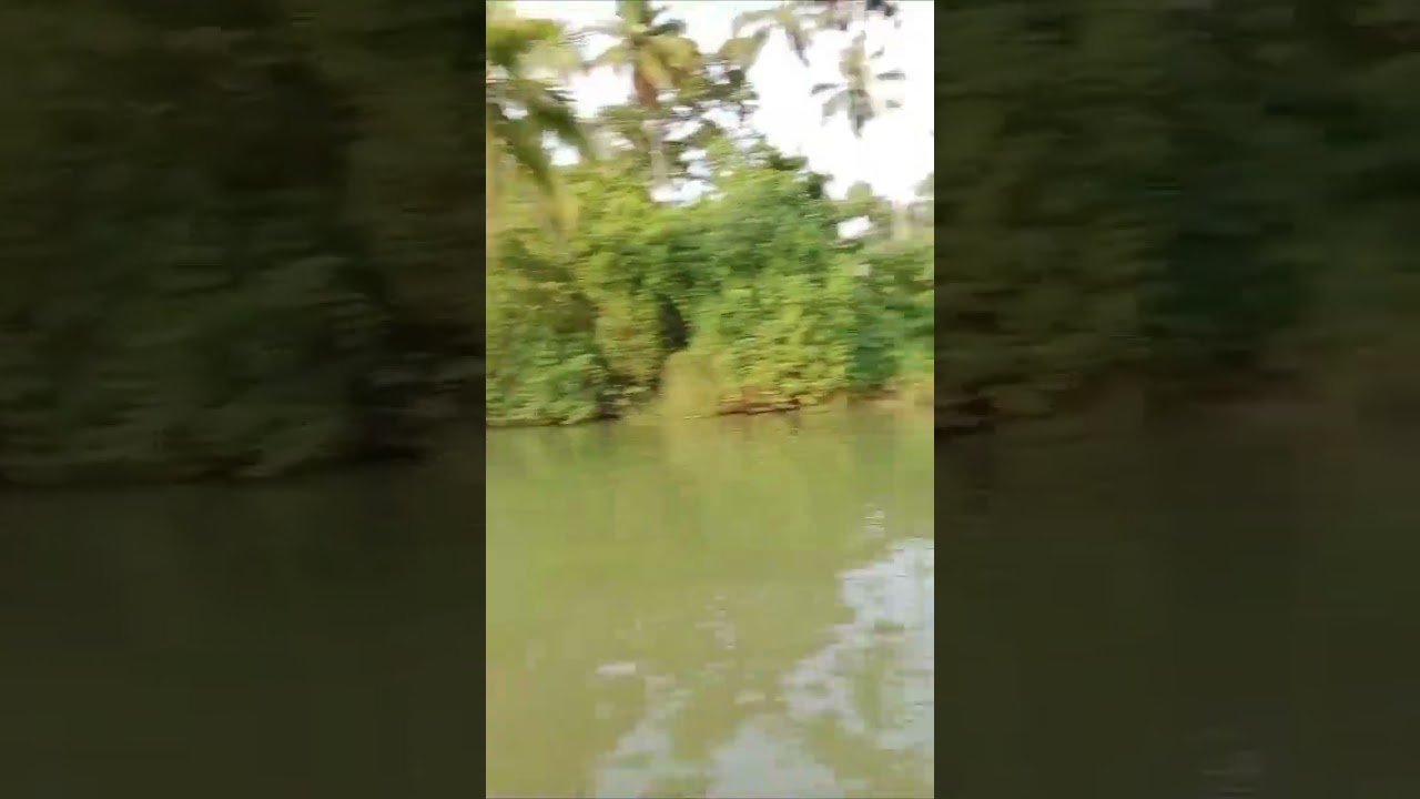island in kerala  please like,share,and subscribe