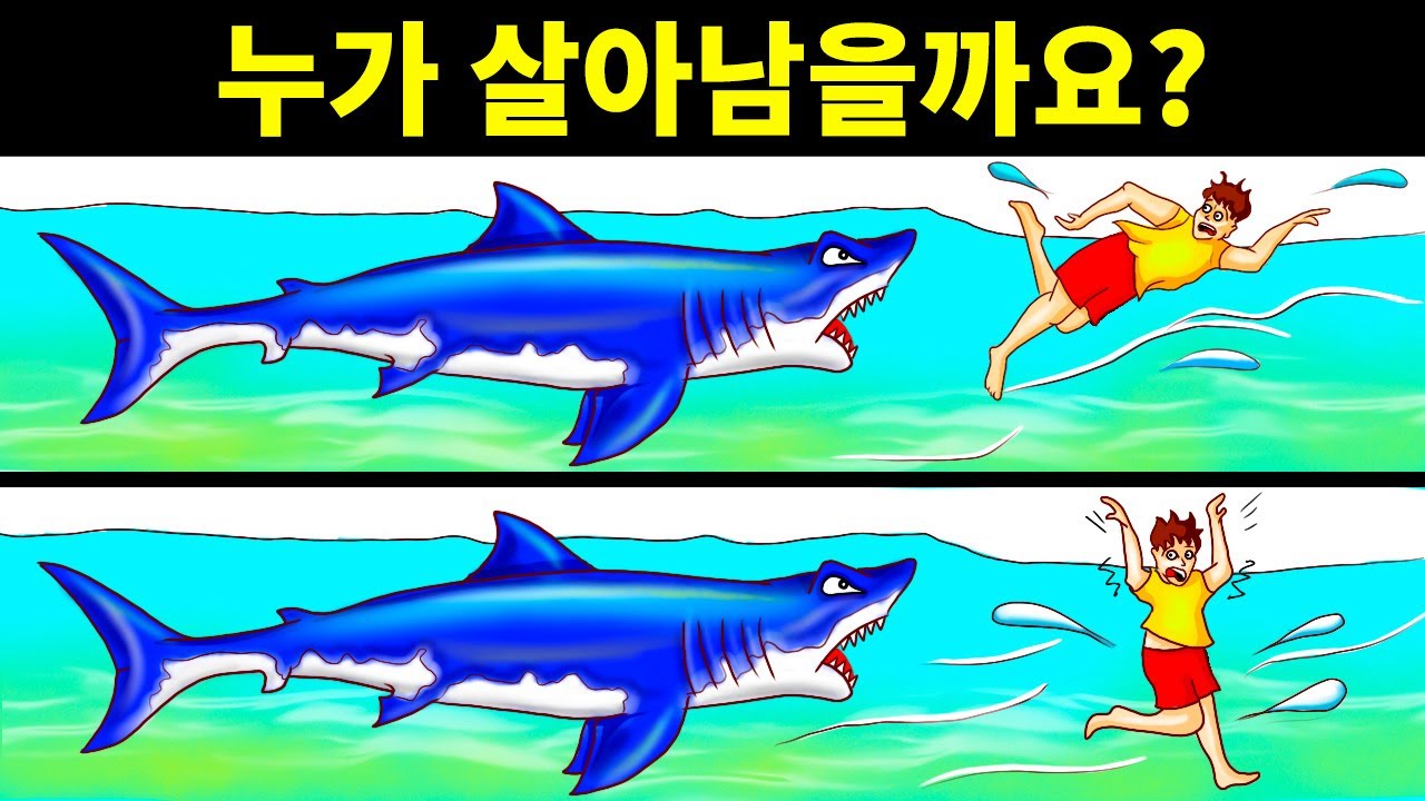 11개의 수수께끼를 모두 풀면 야생에서 살아남을 수 있을 거예요