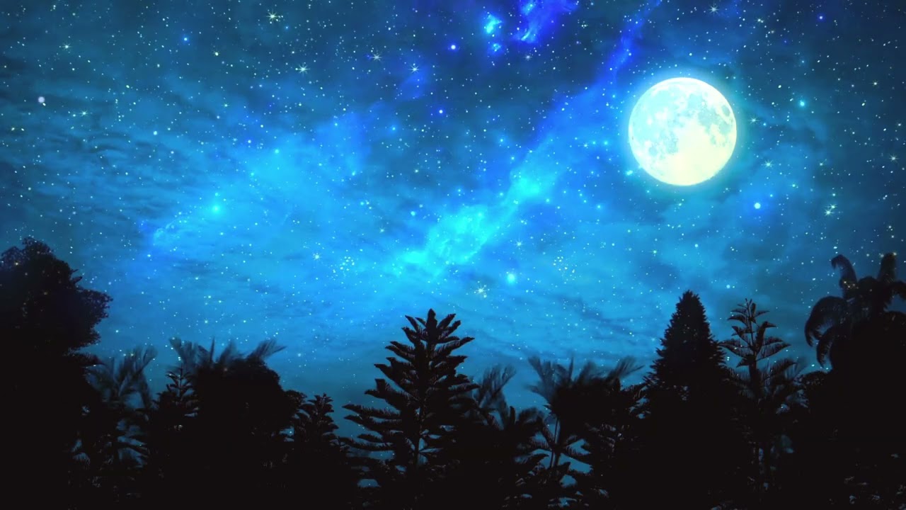 Sleep • Study • Meditation Music