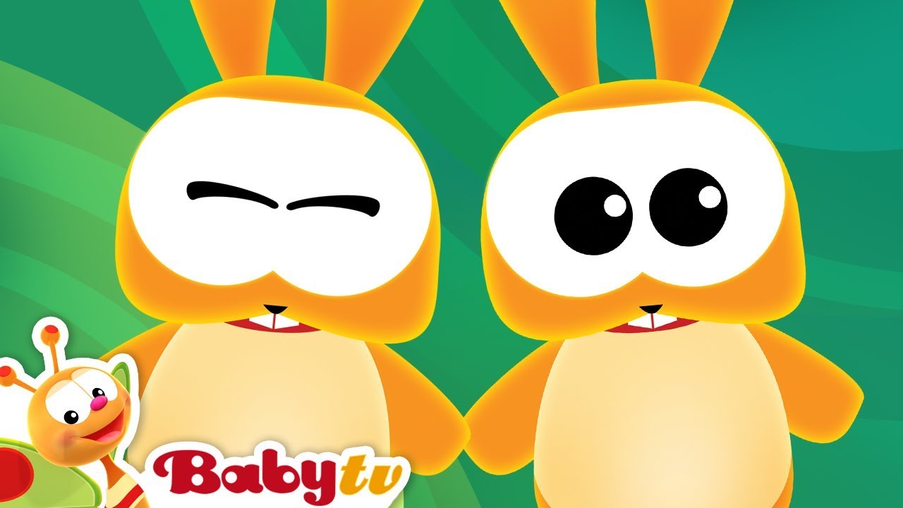 Dierenliedjes | Kinderrijmpjes en -liedjes @BabyTVNL