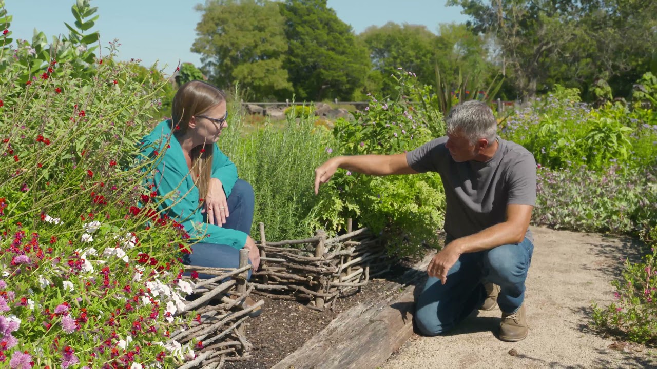 Wattle Fencing in Home Gardens