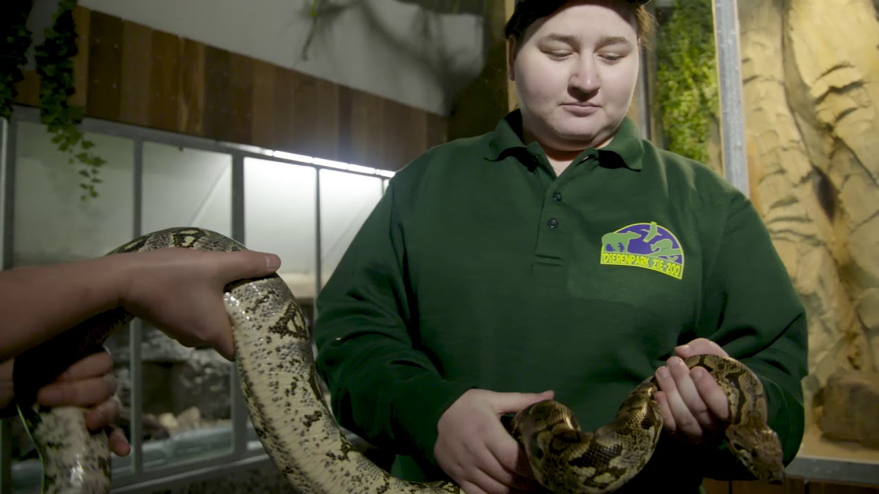 Dierenpark Zie-ZOO Item Doe Maar Duurzaam RTLZ S14E10 7 Maart 2020
