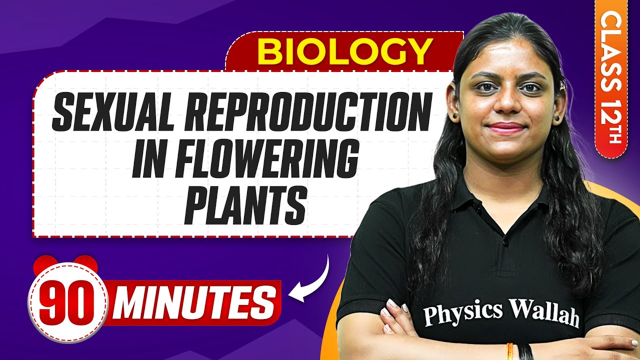 Sexual Reproduction in Flowering Plants in 90 Minutes | Class 12th Biology | Mind Map Series