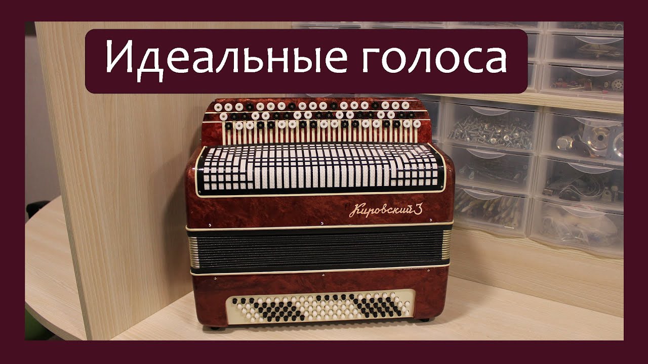 Трудовые будни / Ремонт Баяна 
