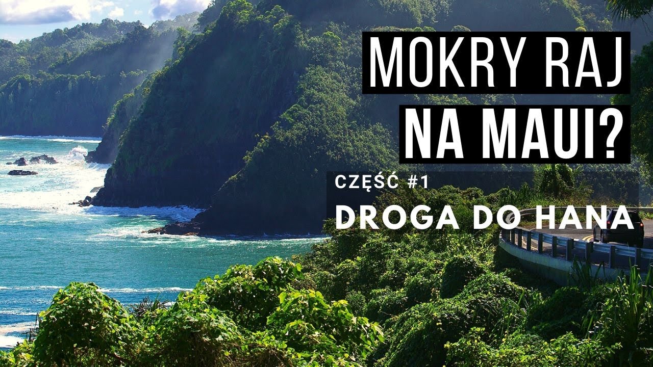 MAUI - Hawajski Raj 🏝 Droga do Hana część 1 - las deszczowy.