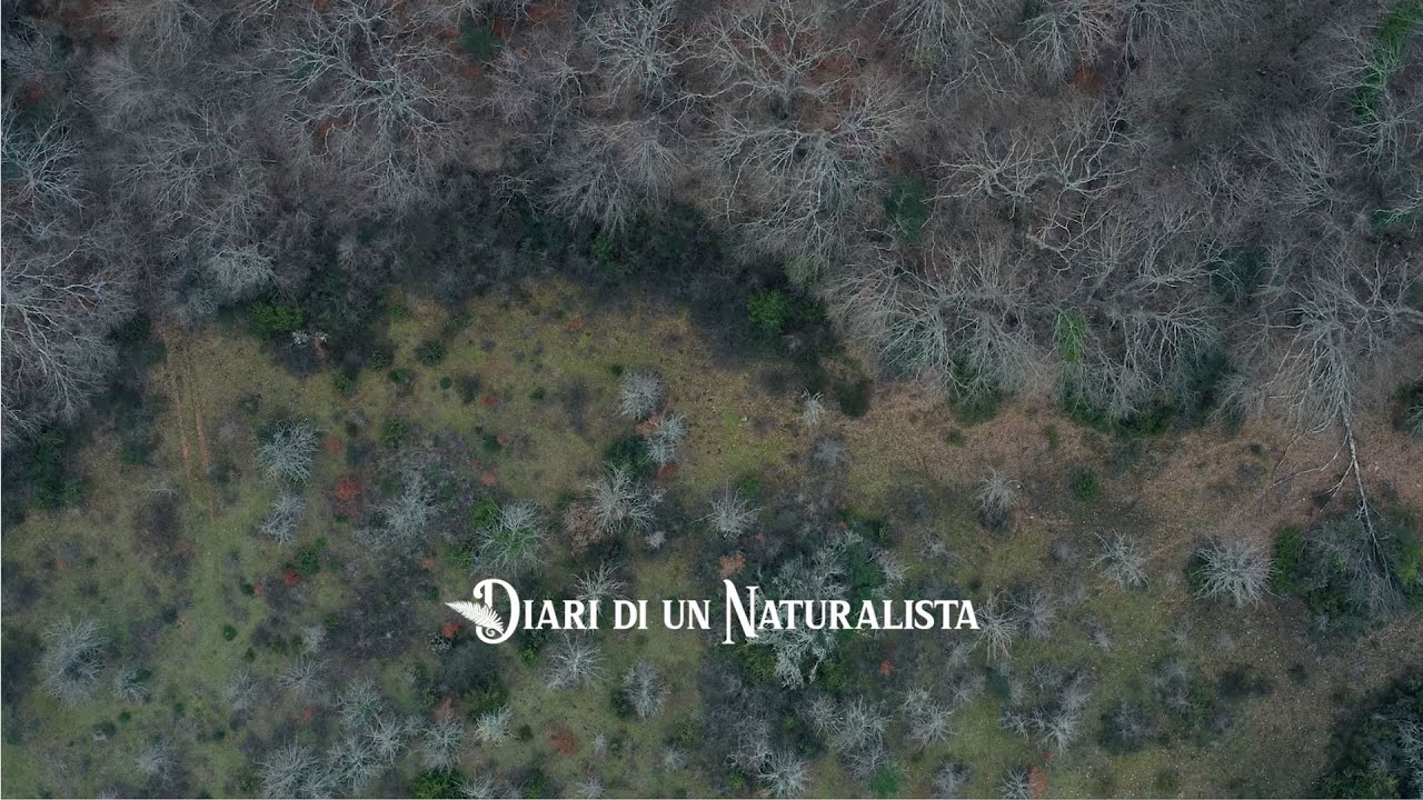 Ep. 2 - Per un pugno di semi - gli uccelli e le mangiatoie