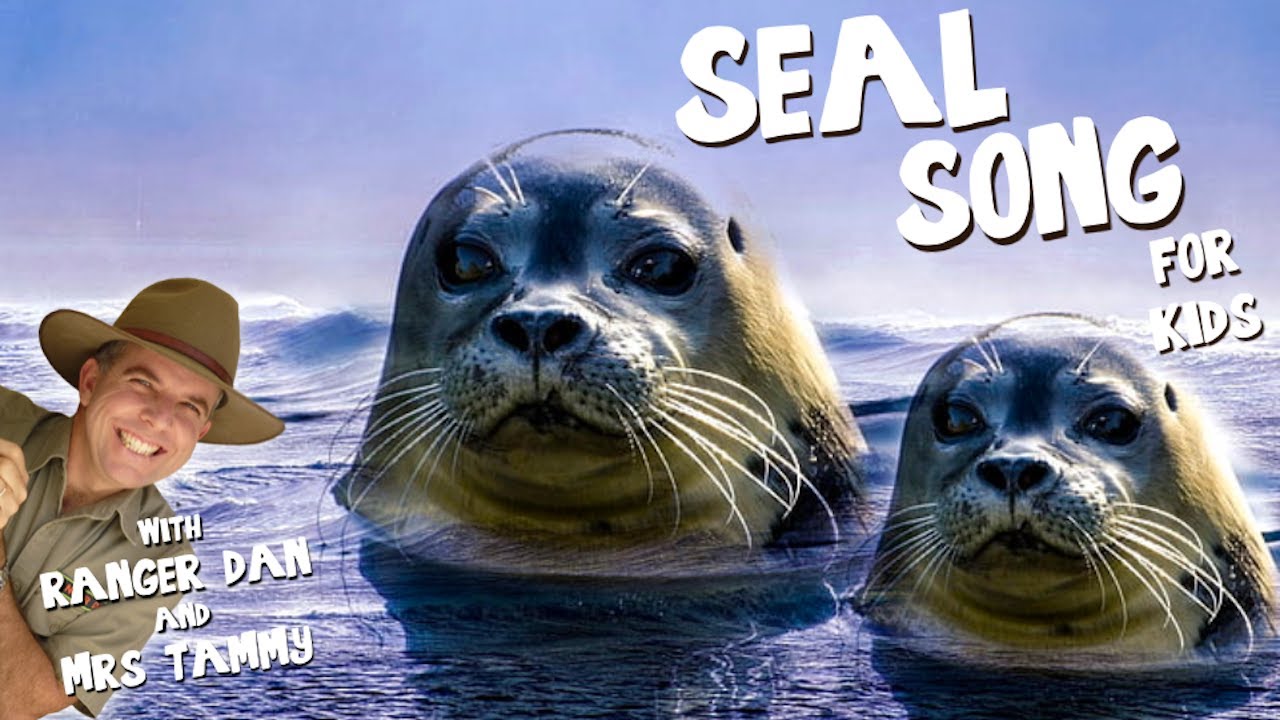 SEAL SONG FOR KIDS | Arctic Animal Songs | Animal Songs | Kids Songs | Creation Connection