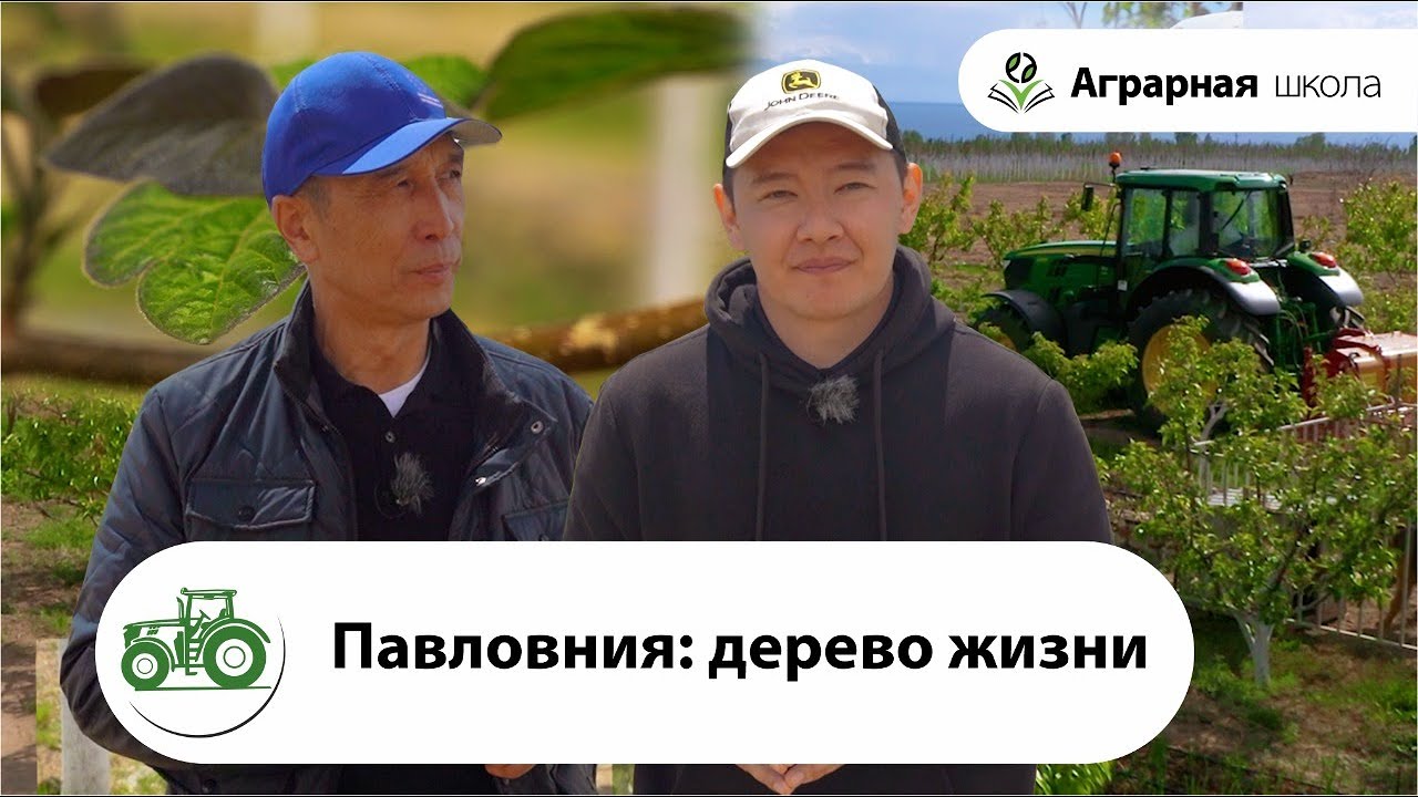 В гостях в Кыргызстане. Проект 