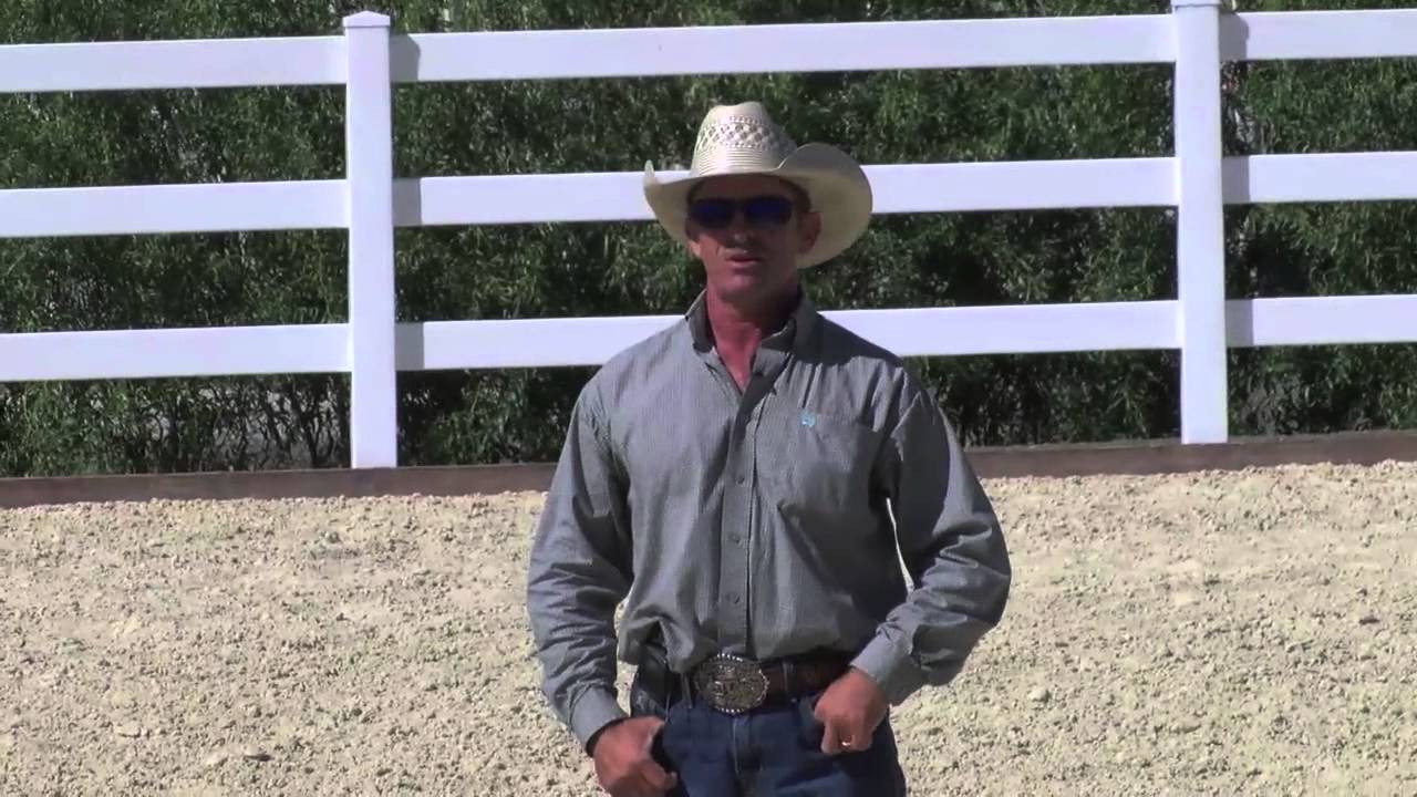 Horses that wont pick up their hind feet