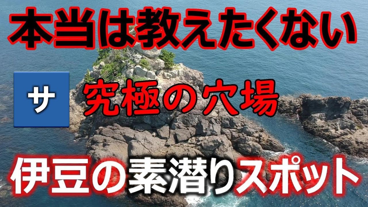 静岡伊豆おすすめ素潜りスポット紹介！シュノーケルスキンダイビング最適な綺麗な魚海【シュノーケリングダイビング釣り】国内観光旅行宿泊南東西下田土肥落居妻良大瀬黄金,魚大量場所ポイント穴場自然ヒリゾ浜