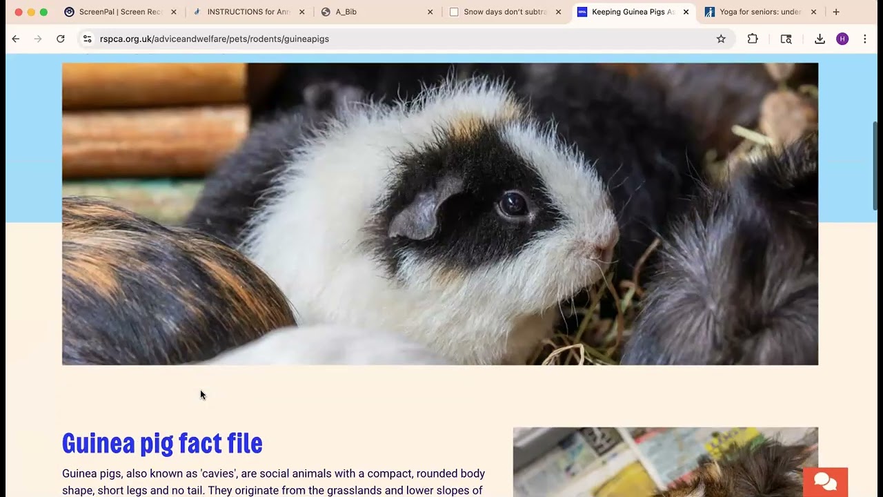 HOW to format Annotated Bibliography in Microsoft 365