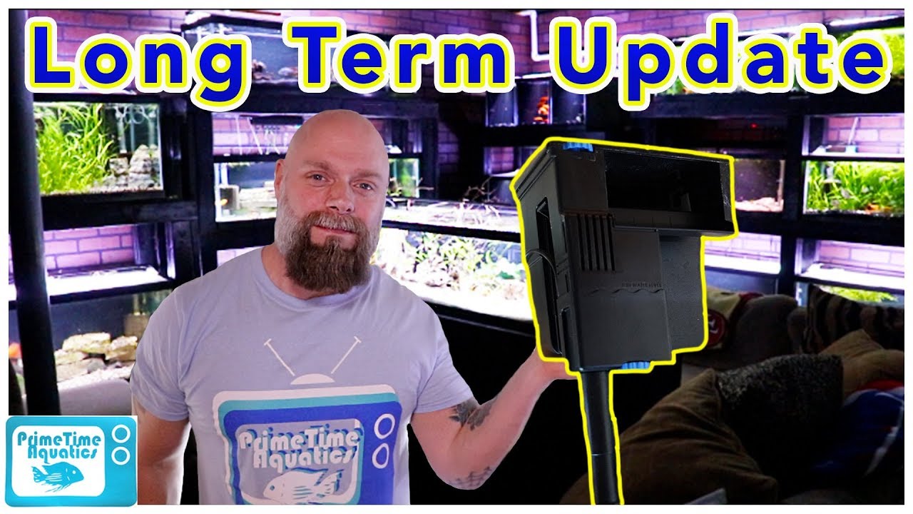 Seachem Tidal 55 Hang on Back Filter Long Term Review