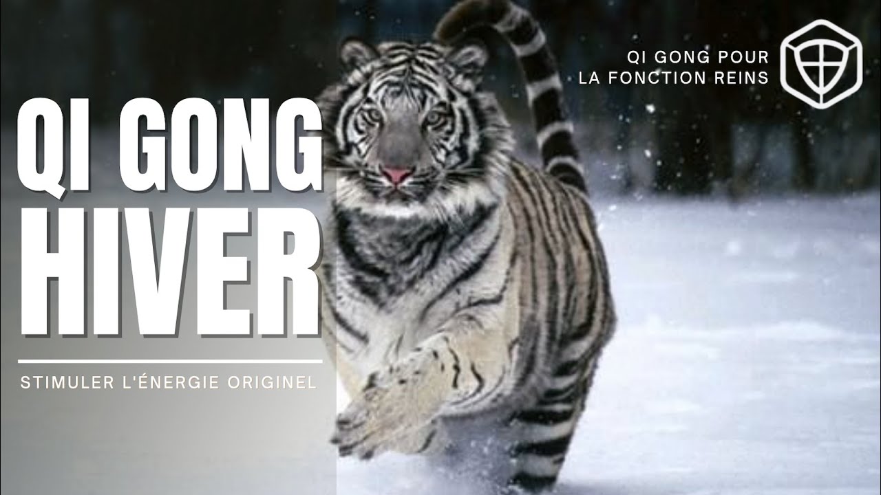 Qi Gong pour l’hivers : Harmoniser les Reins