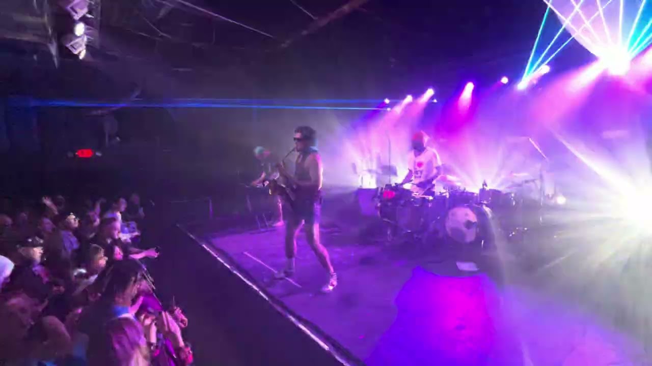 @toomanyzoozofficial 