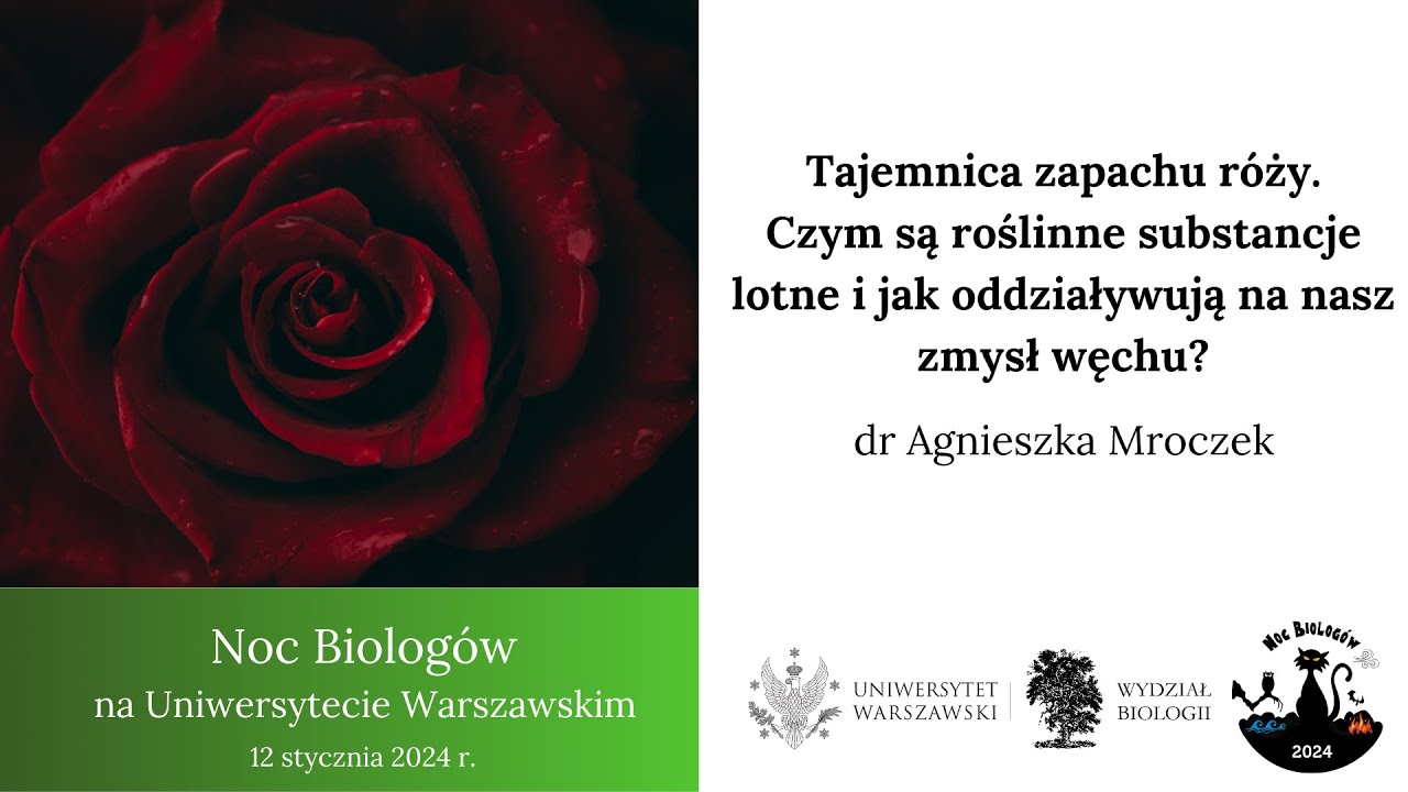 Tajemnica zapachu róży. Czym są roślinne substancje lotne i jak oddziaływują na nasz zmysł węchu?