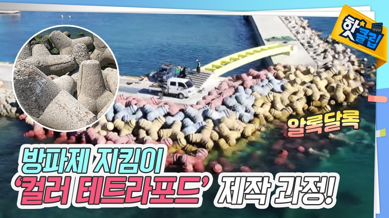 돌기와 알록달록 색깔을 더한 방파제 지킴이 테트라포드 [#핫클립] / YTN 사이언스