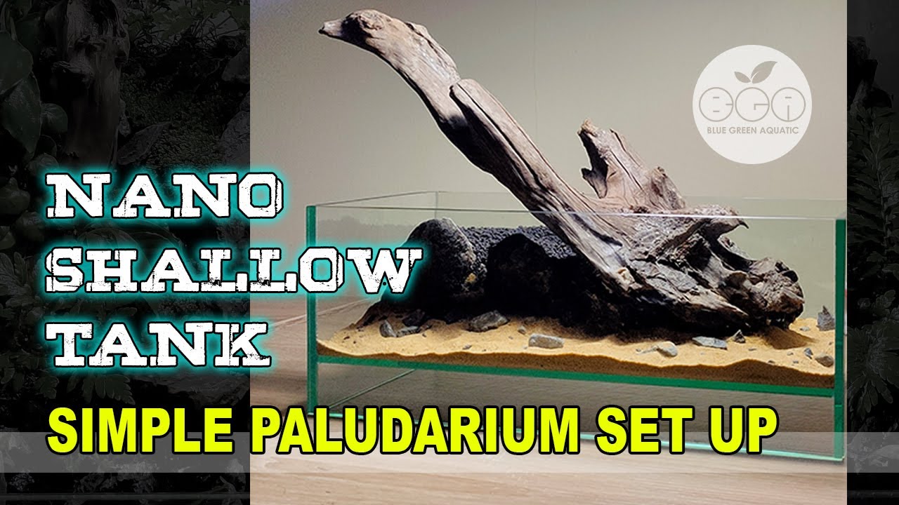 #26 - NANO SHALLOW TANK | PALUDARIUM SET UP - PART 1