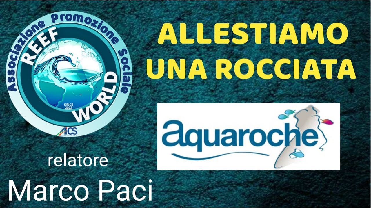 Allestiamo una rocciata by Reef-World