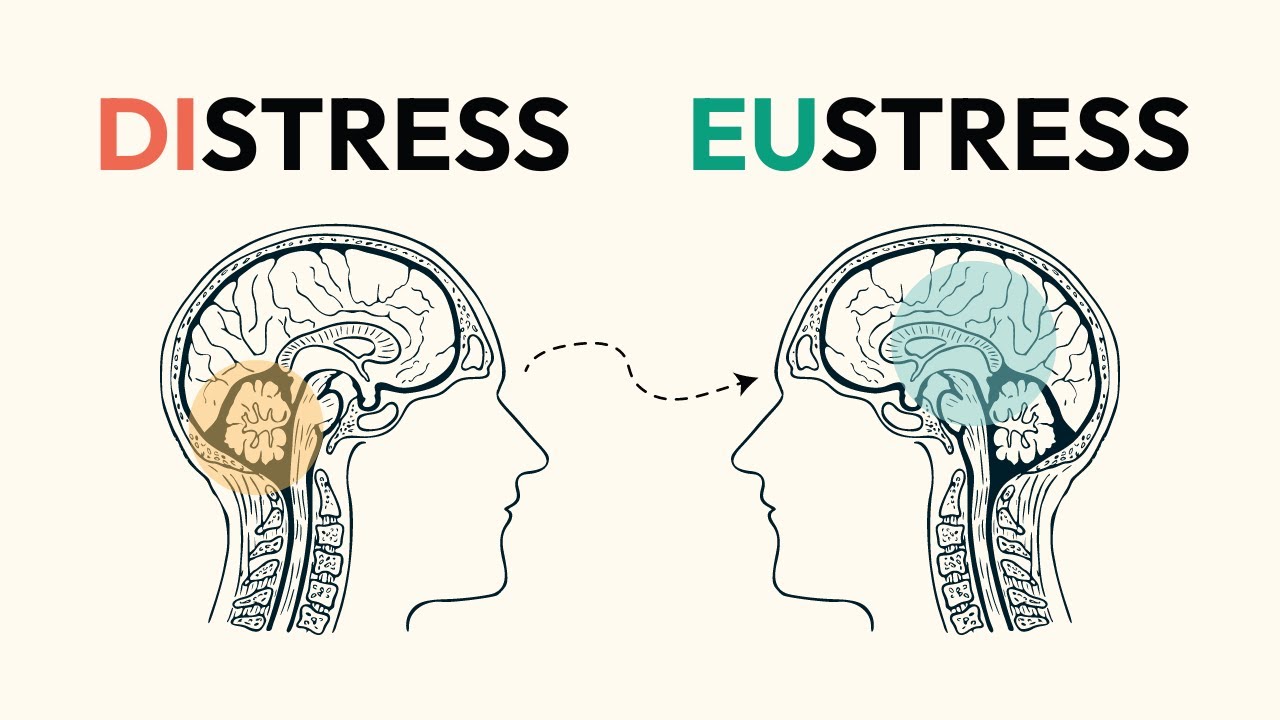 How to use stress to your advantage