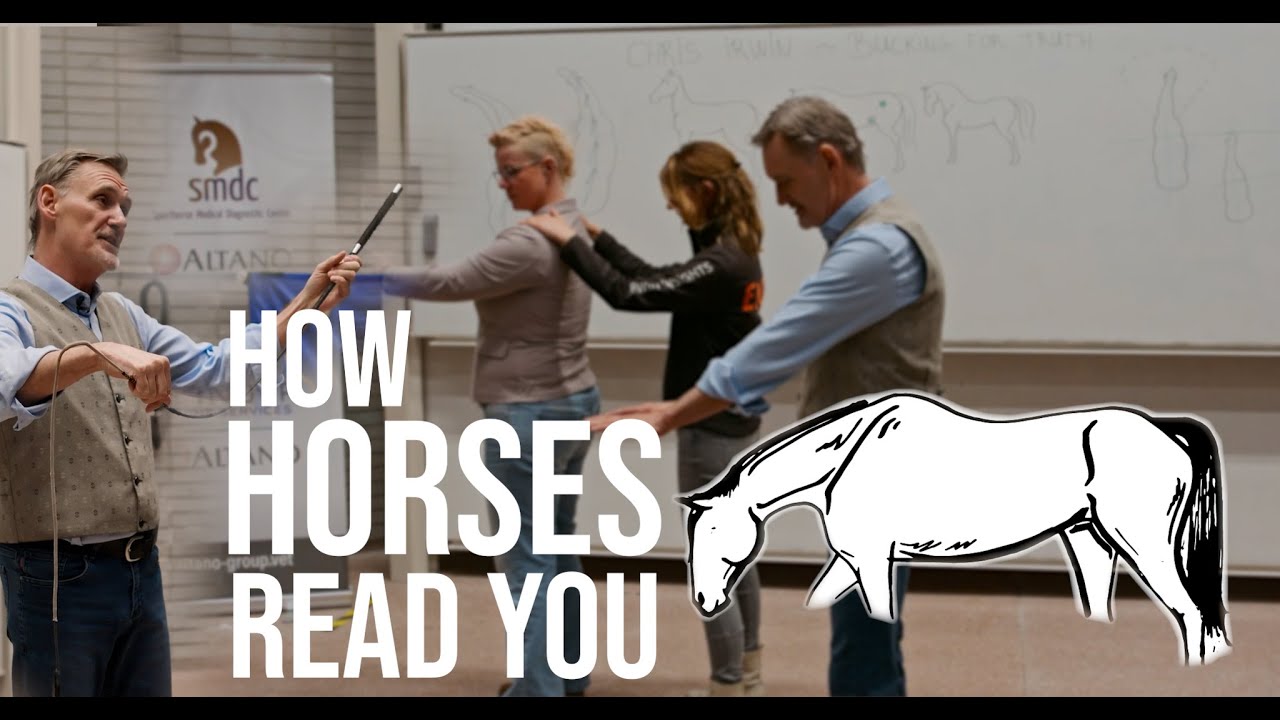 The Science of Feel: Chris Irwin on Veterinary Horsemanship | Utrecht University Lecture
