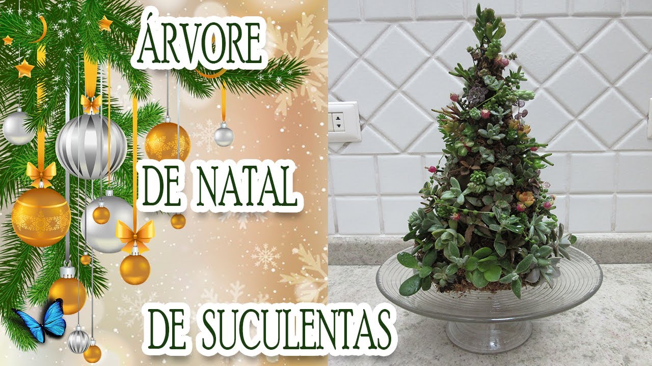 DIY -  ÁRVORE DE NATAL DE SUCULENTAS