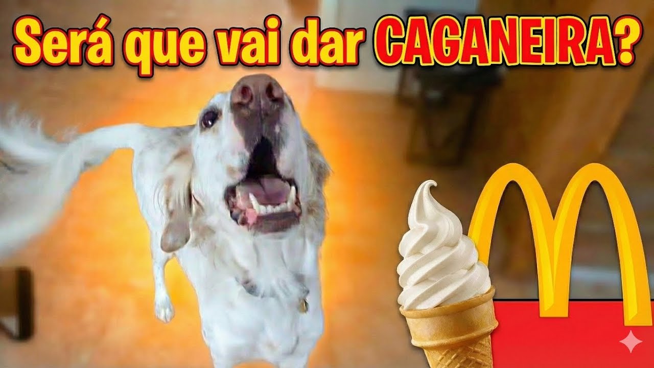 Luma toma sorvete pela primeira vez! 😅