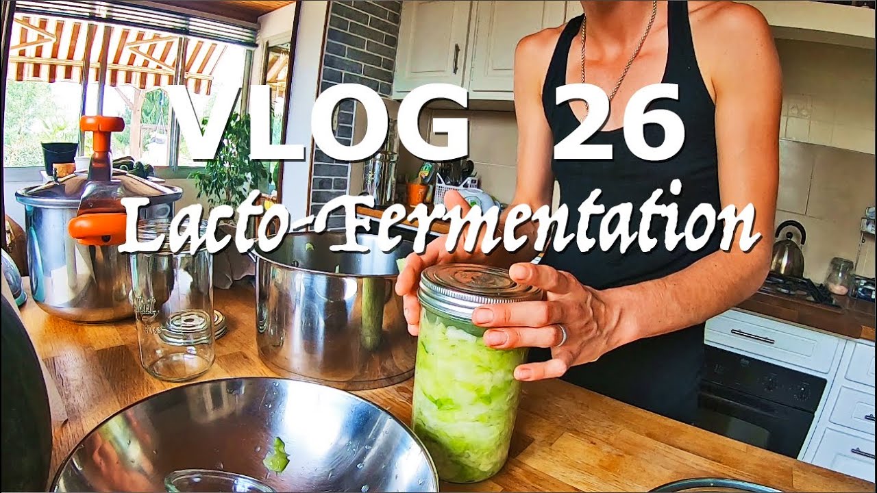 Lacto-Fermentation des Légumes -Vlog 26-