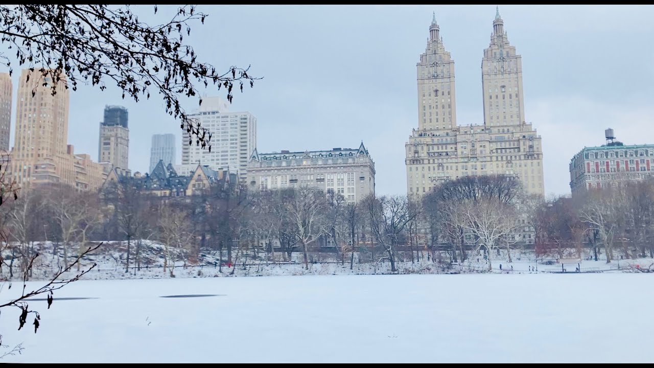 NYC Vlog: A Frozen Central Park