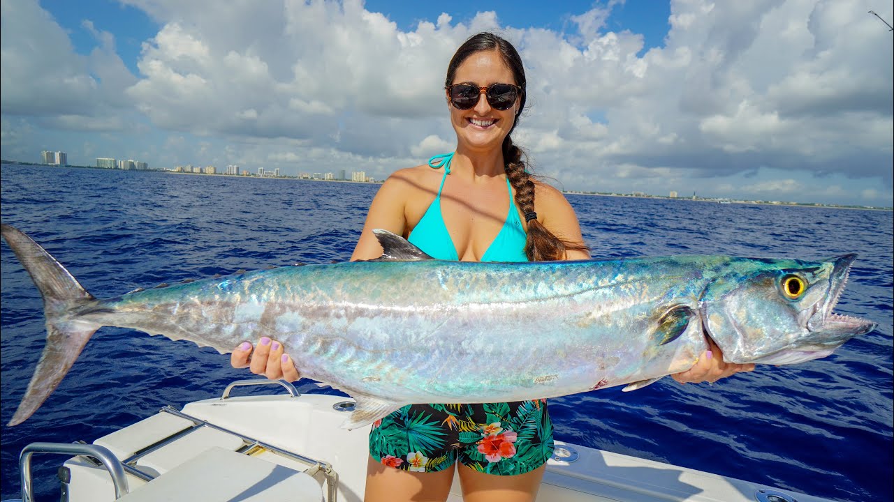 BIG KINGFISH! Catch, Clean & COOK! Florida Fishing!